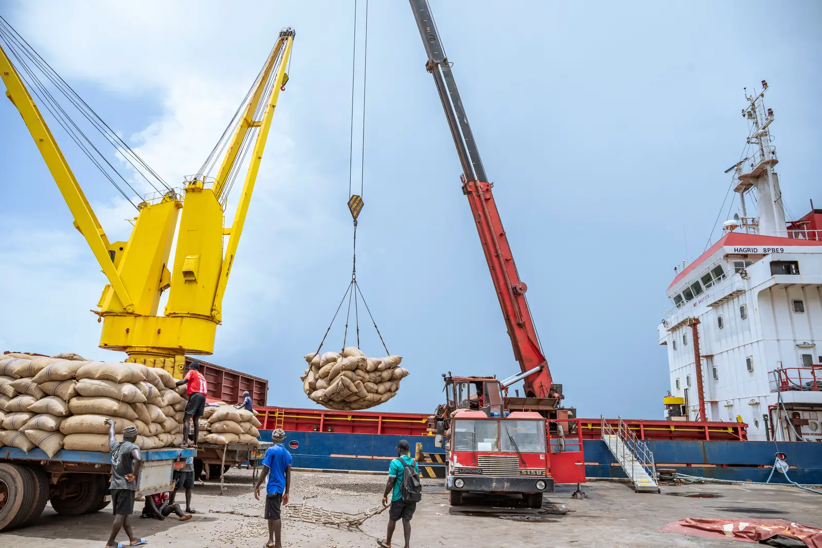 The yellow harbour crane lifting a sling of jute sacks clear of the quay against an open sky, with the vessel alongside.