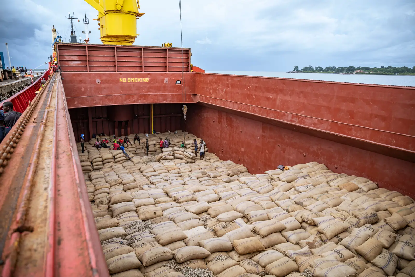 Looking down into the open hold of the vessel, its floor covered with jute sacks as a crew works across them.