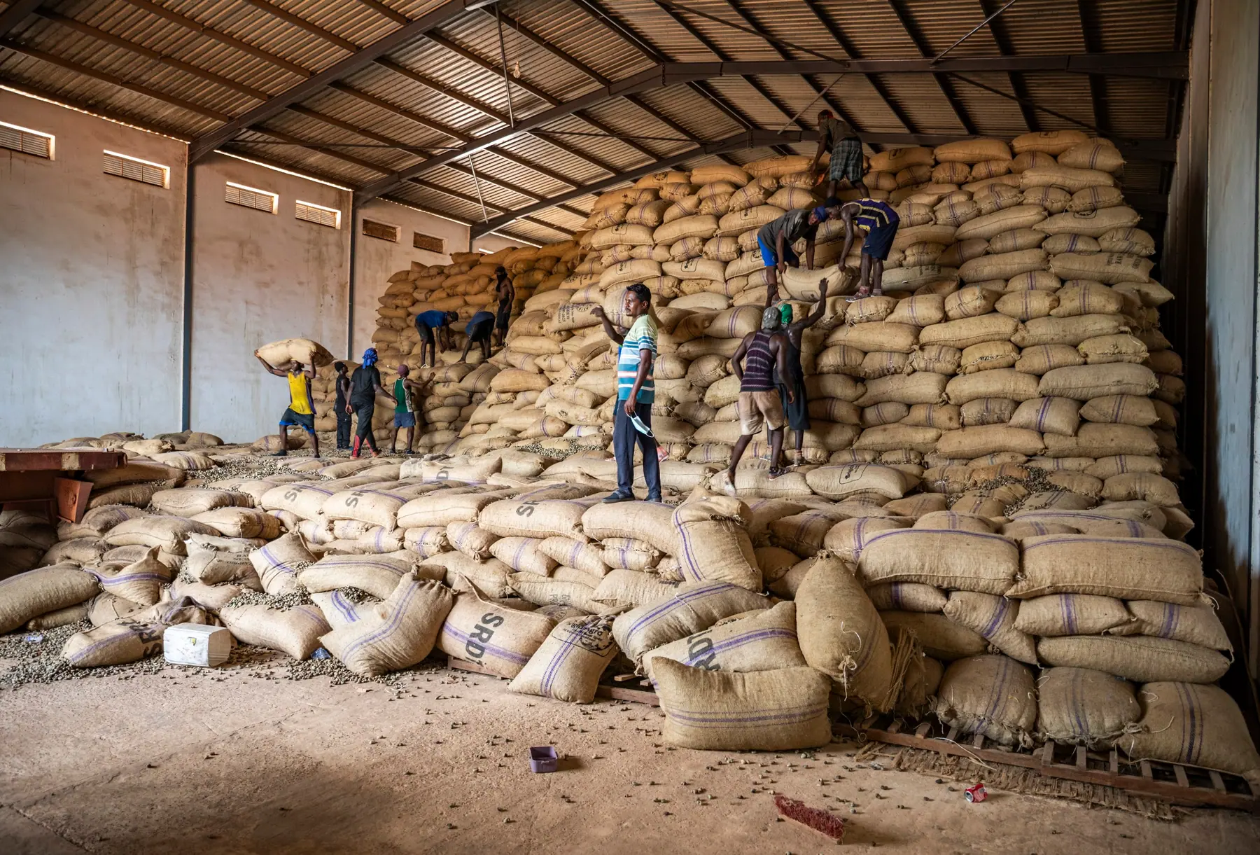 Entrepôt de stockage — lot en vrac avant calibrage